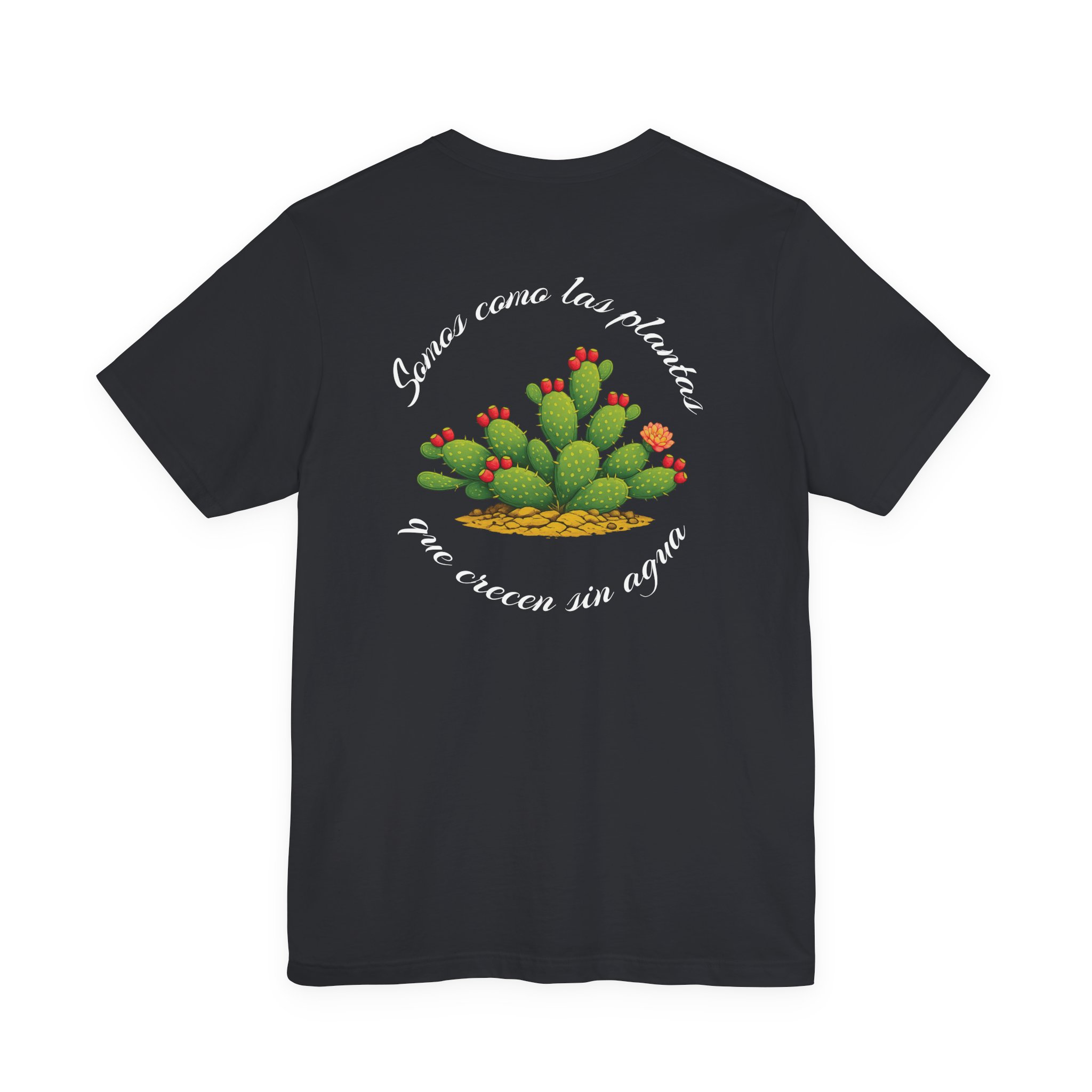 Como Las Plantas Que Crecen Sin Agua β Vintage Black